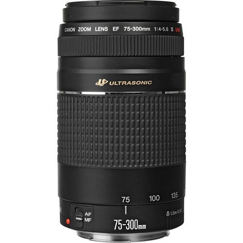 CANON EF 75-300 F/4-5,6 III USM LENS